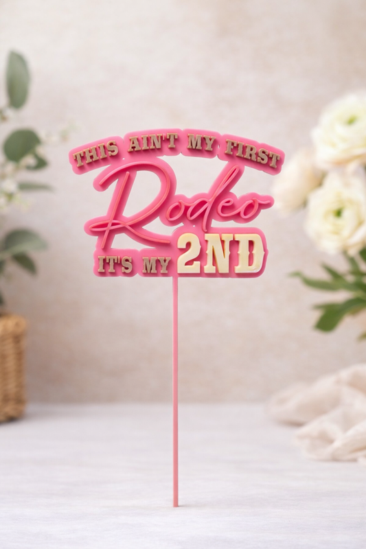 THIS AINT MY FIRST RODEO